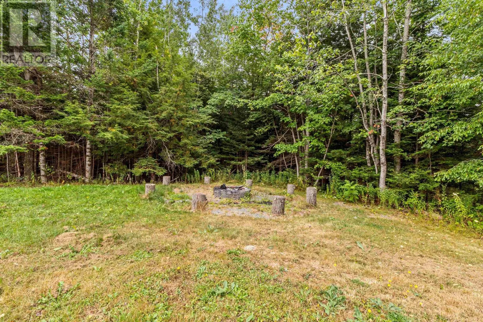 64 Dillman Road
