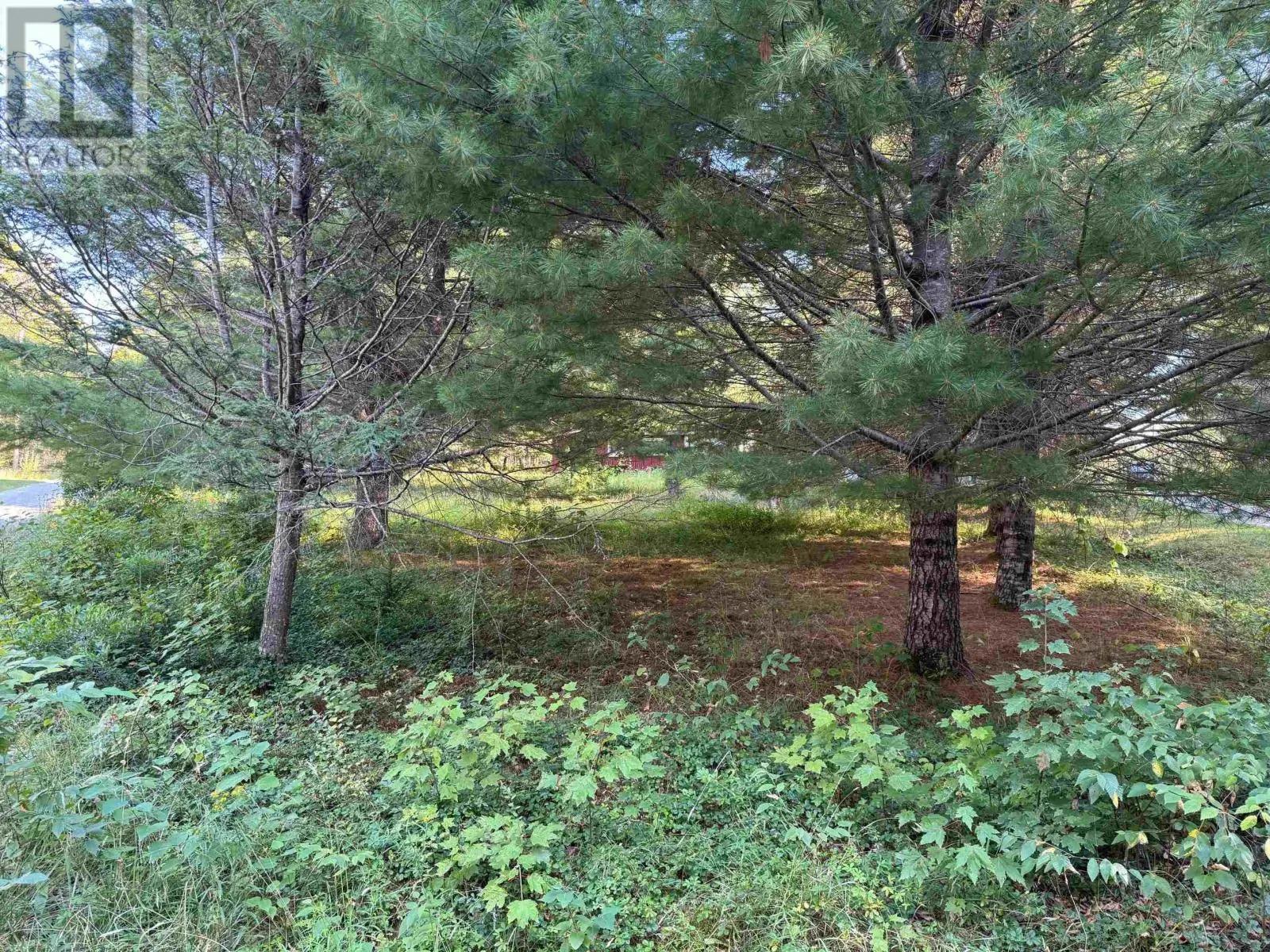 199 Kempt Back Lake Road