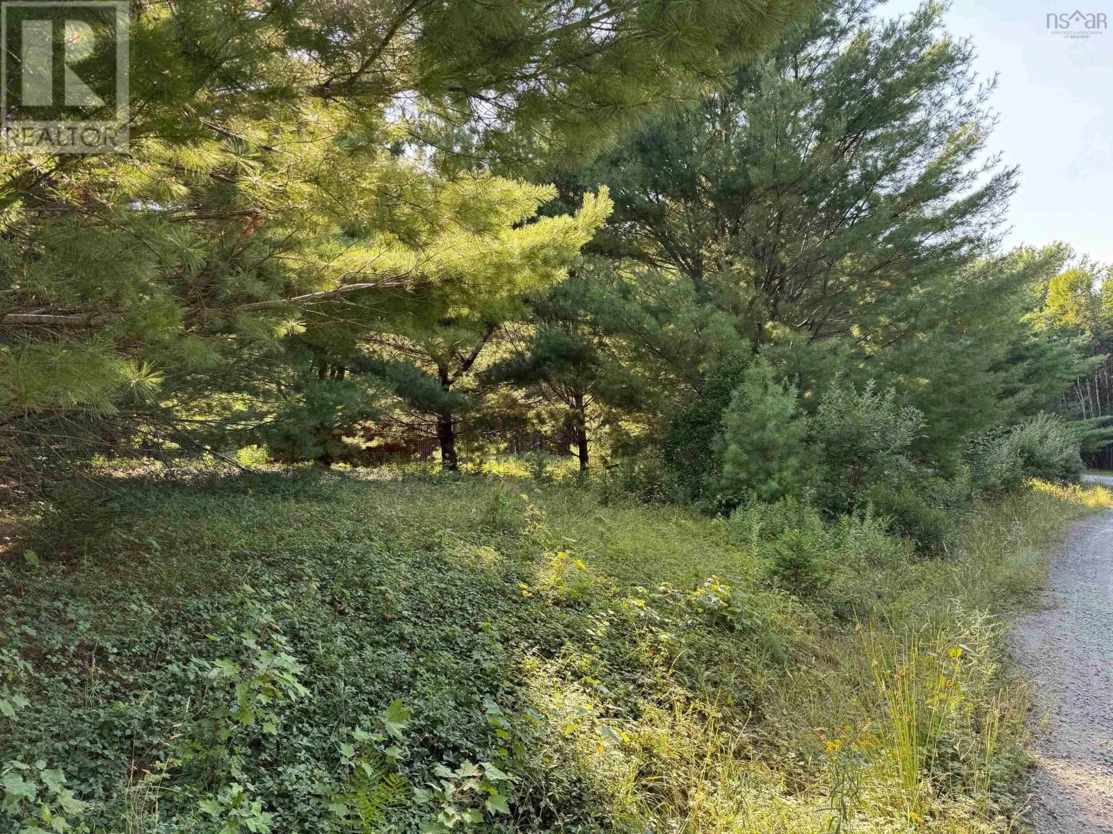 199 Kempt Back Lake Road