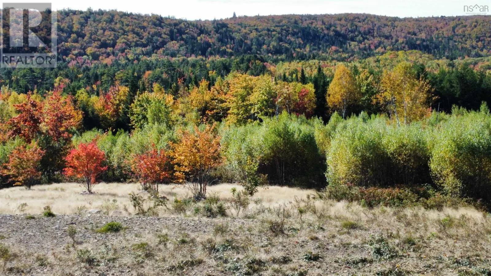 Lot 23-1 996 LAKE Road