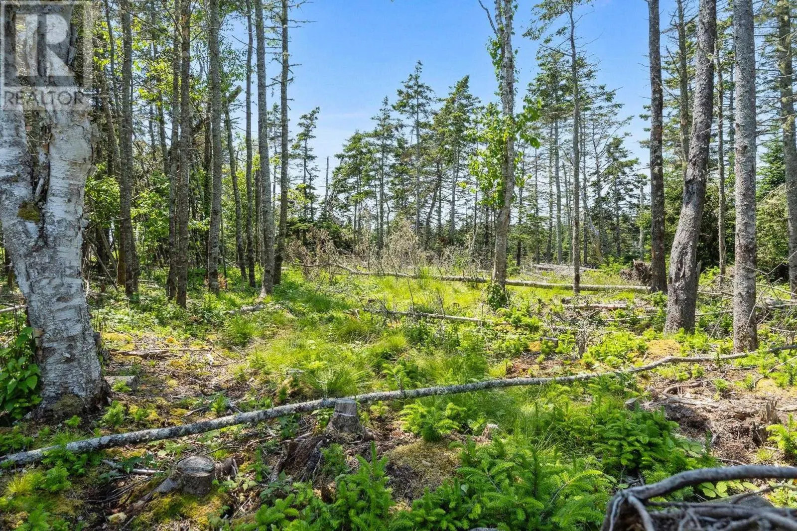 Lot Highway 207