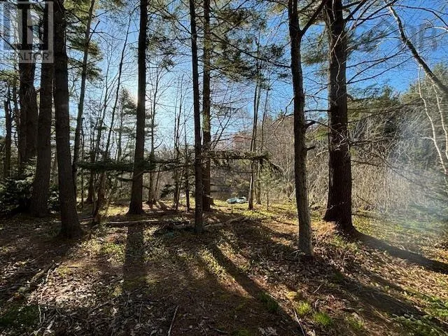 15 Cottage Lane