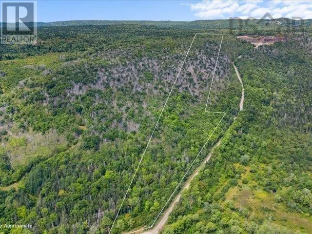 Haul Road