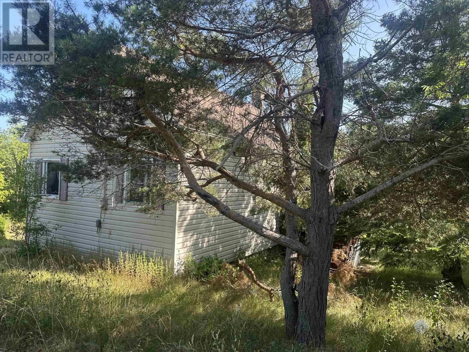 1316 Strathlorne-Scotsville Road