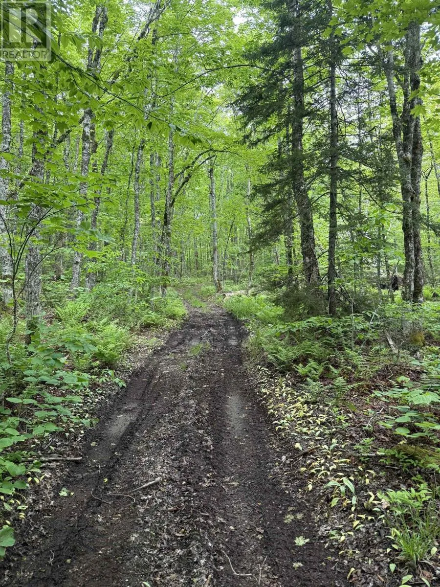 Lot PID#20098885 Truro Road