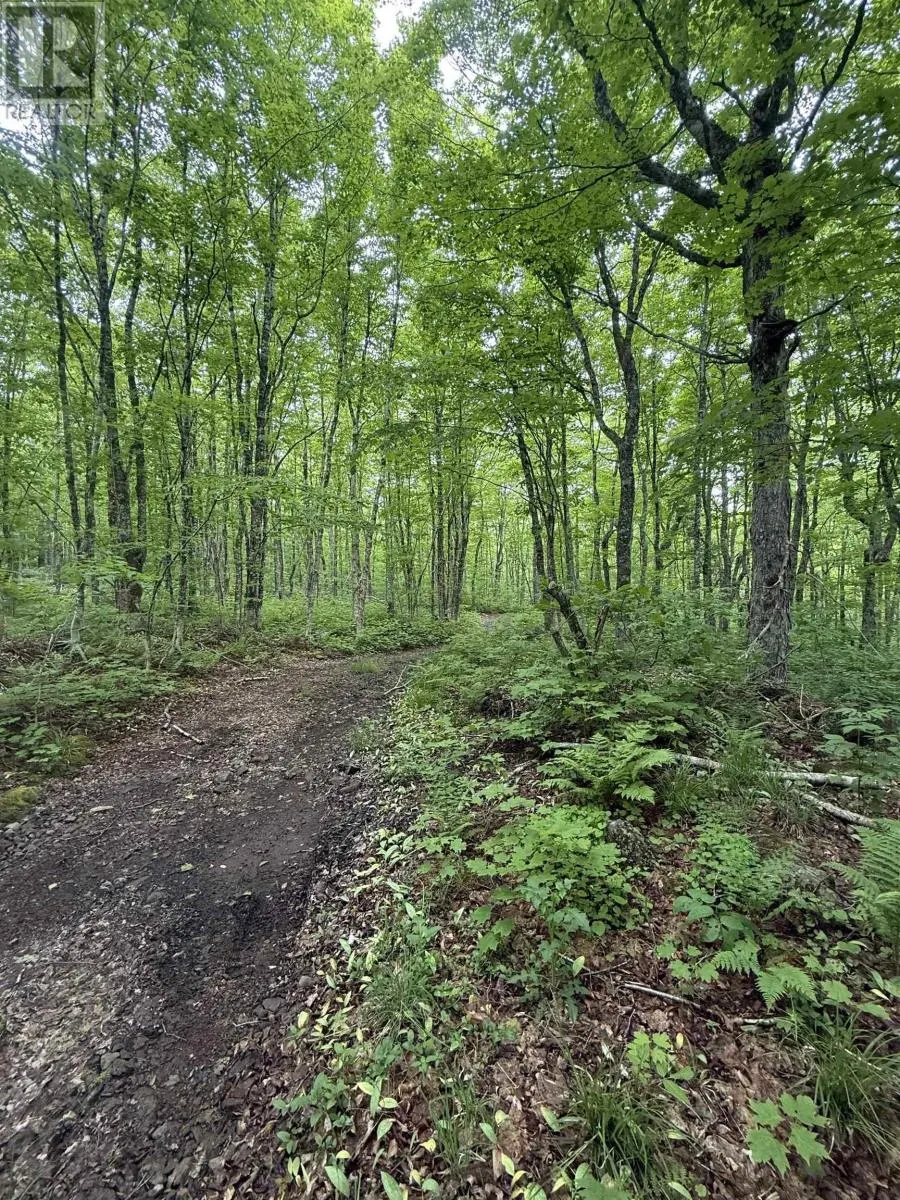 Lot PID#20098885 Truro Road