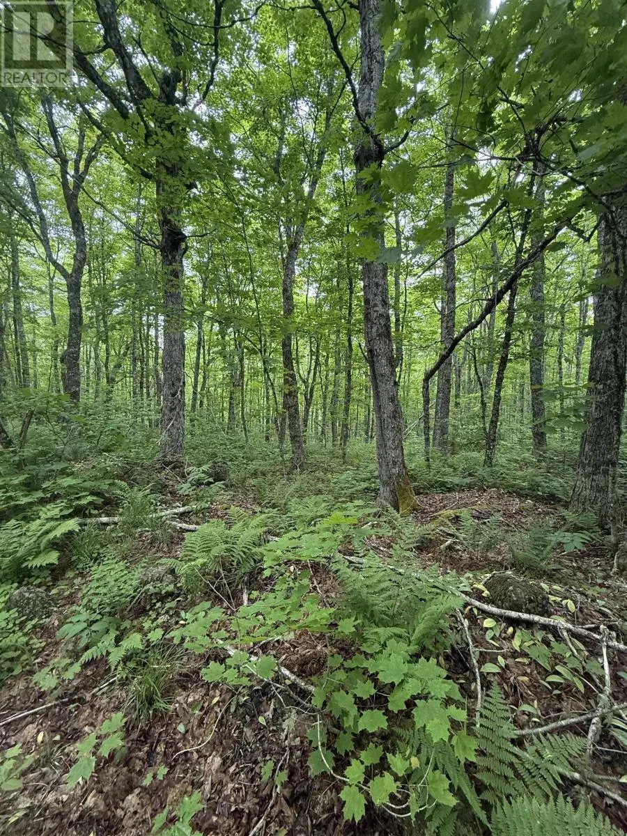 Lot PID#20098885 Truro Road