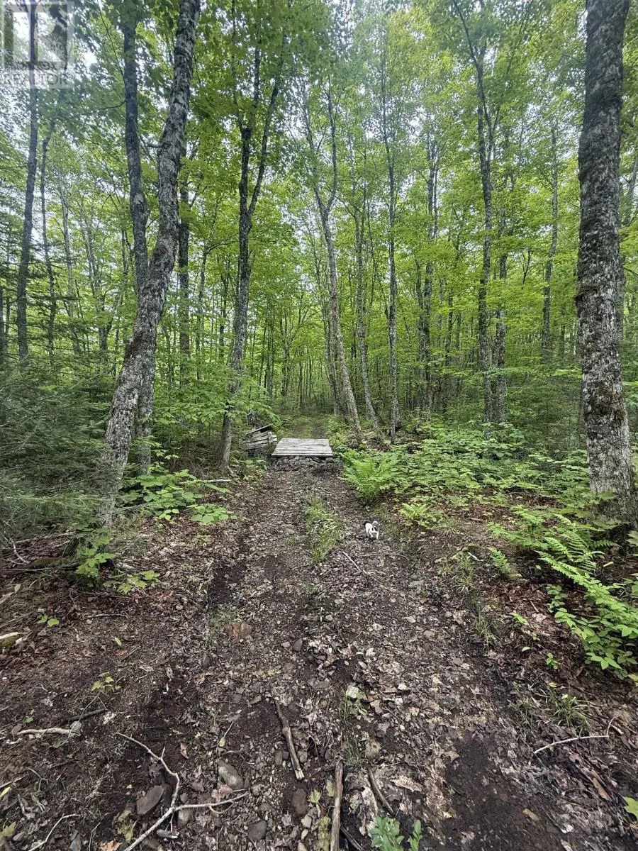 Lot PID#20098885 Truro Road