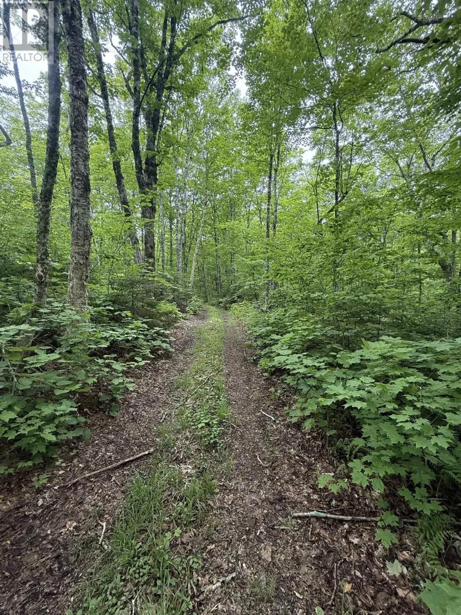 Lot PID#20098885 Truro Road