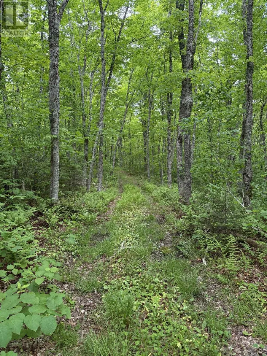 Lot PID#20098885 Truro Road