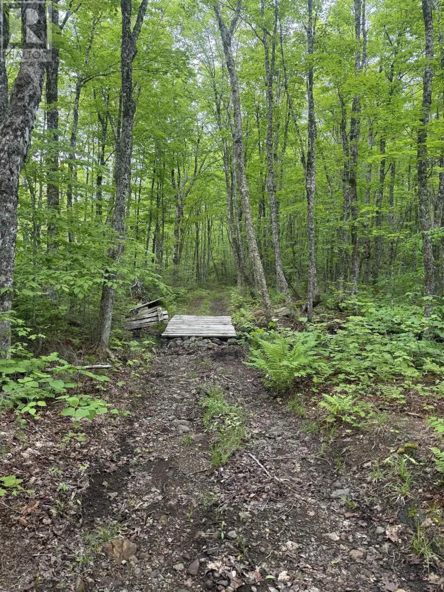 Lot PID#20098885 Truro Road