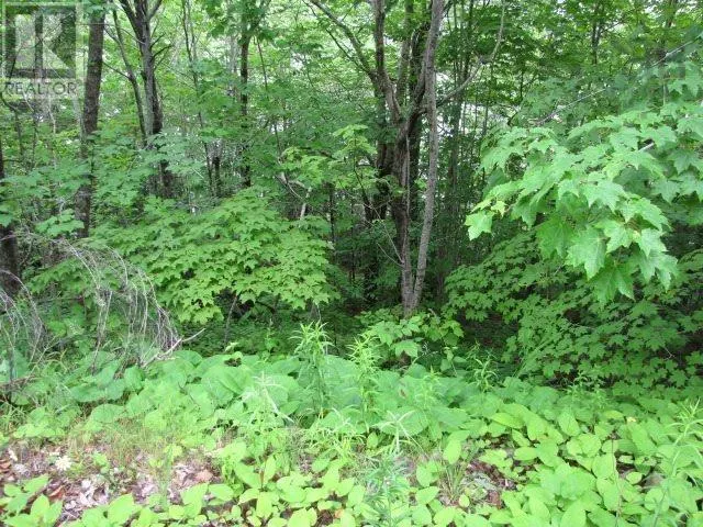 3.49 Acre Lot Bayview Shore Road