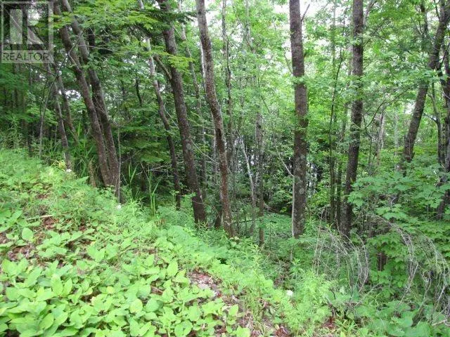 3.49 Acre Lot Bayview Shore Road