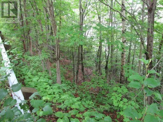 3.49 Acre Lot Bayview Shore Road