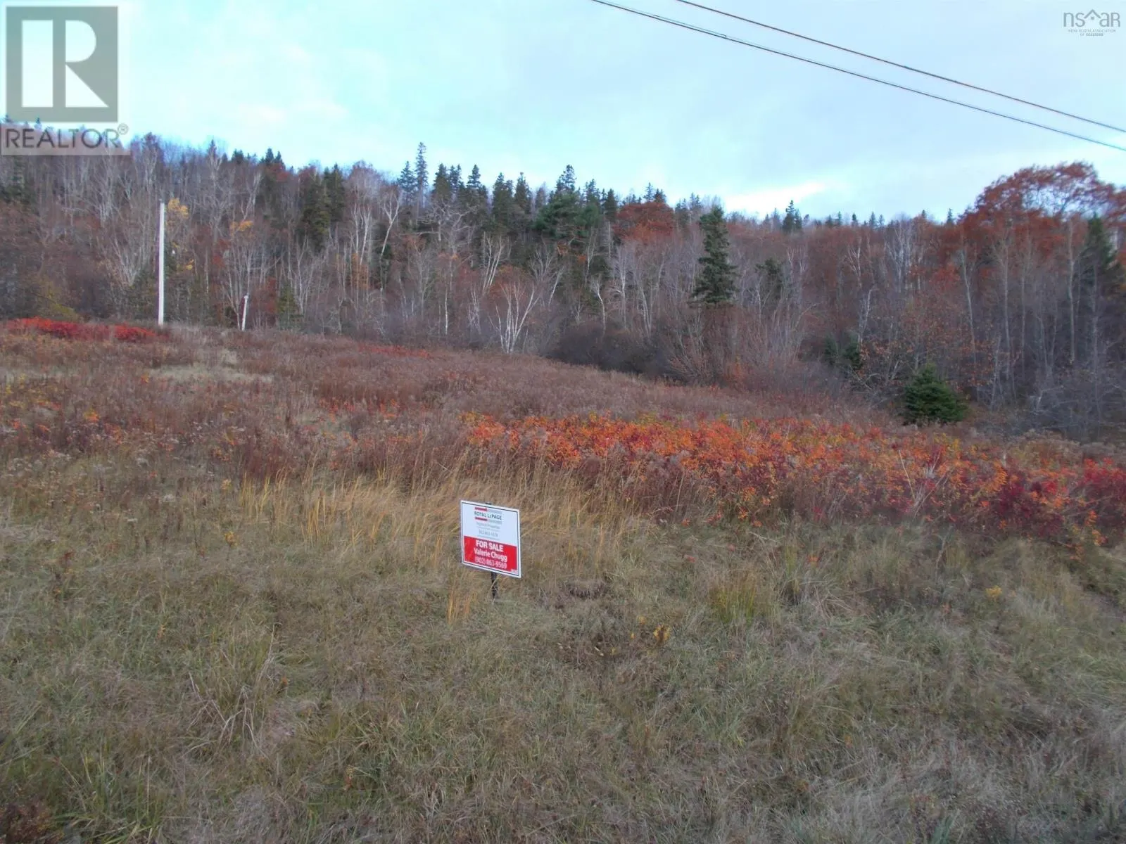 Building lot - Harbor Centre