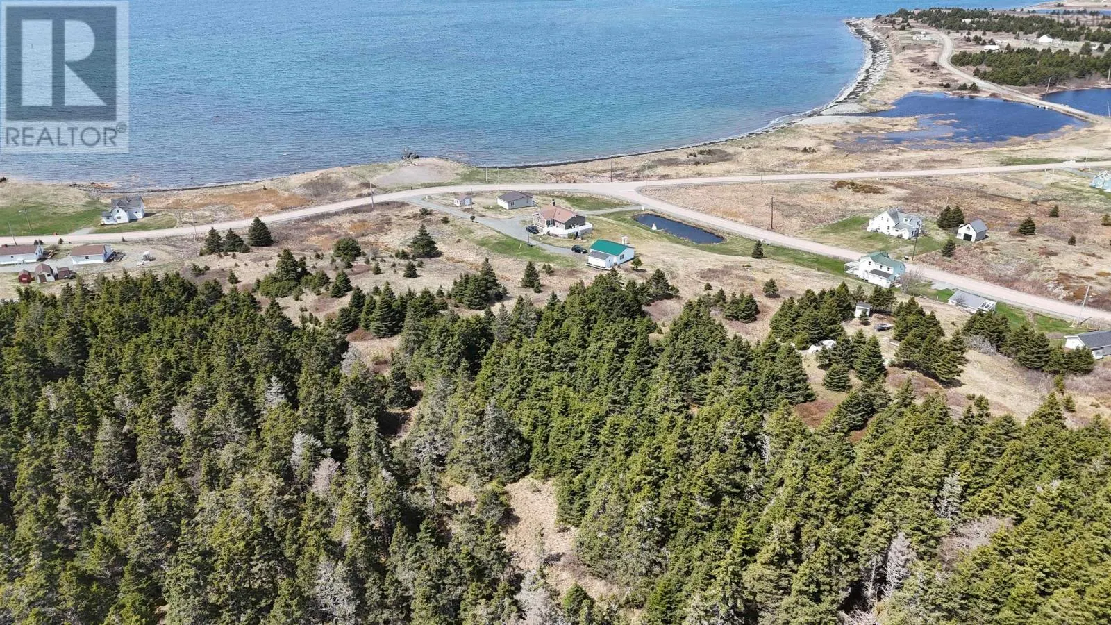 Shore Road
