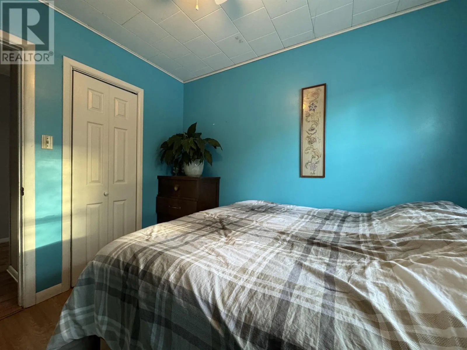 260 Arcona
