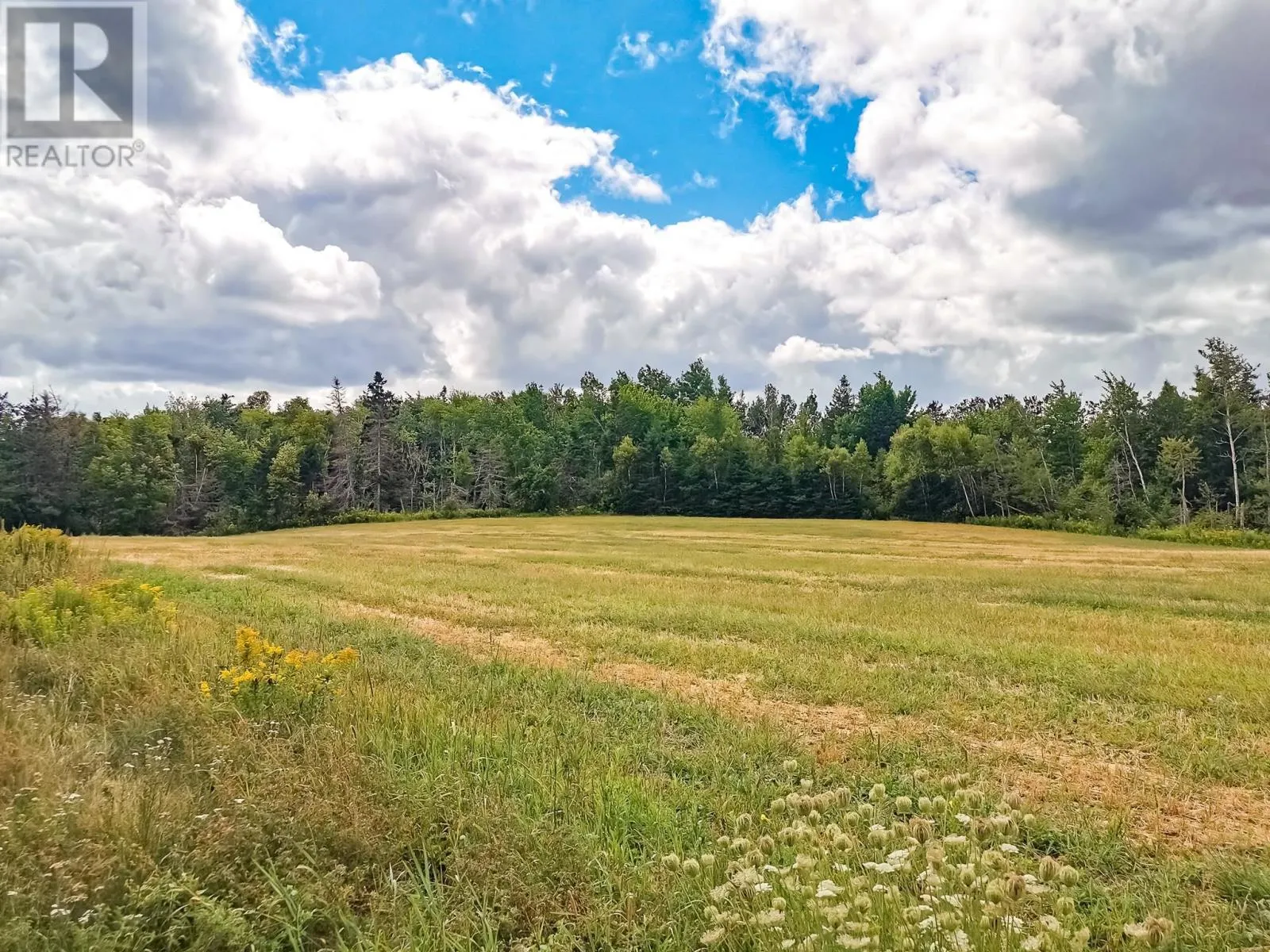 3351 Seven Mile Road