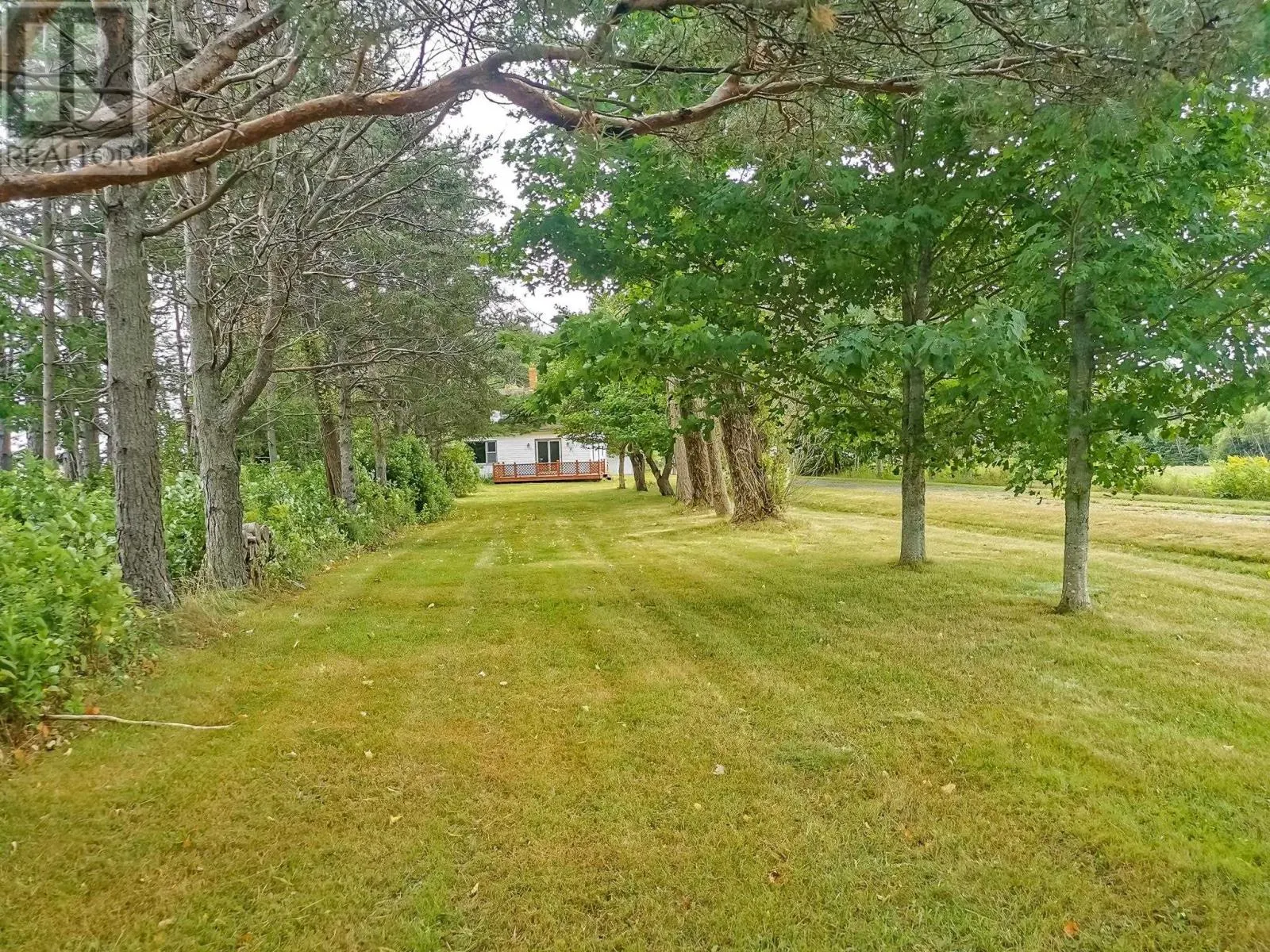 3351 Seven Mile Road