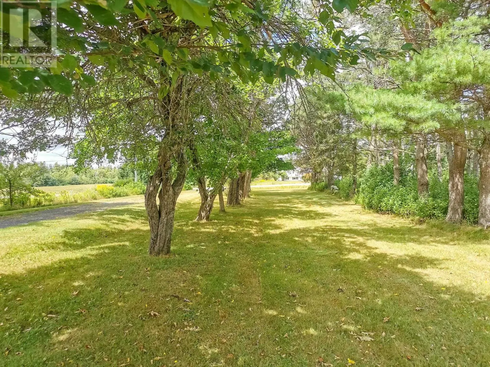 3351 Seven Mile Road