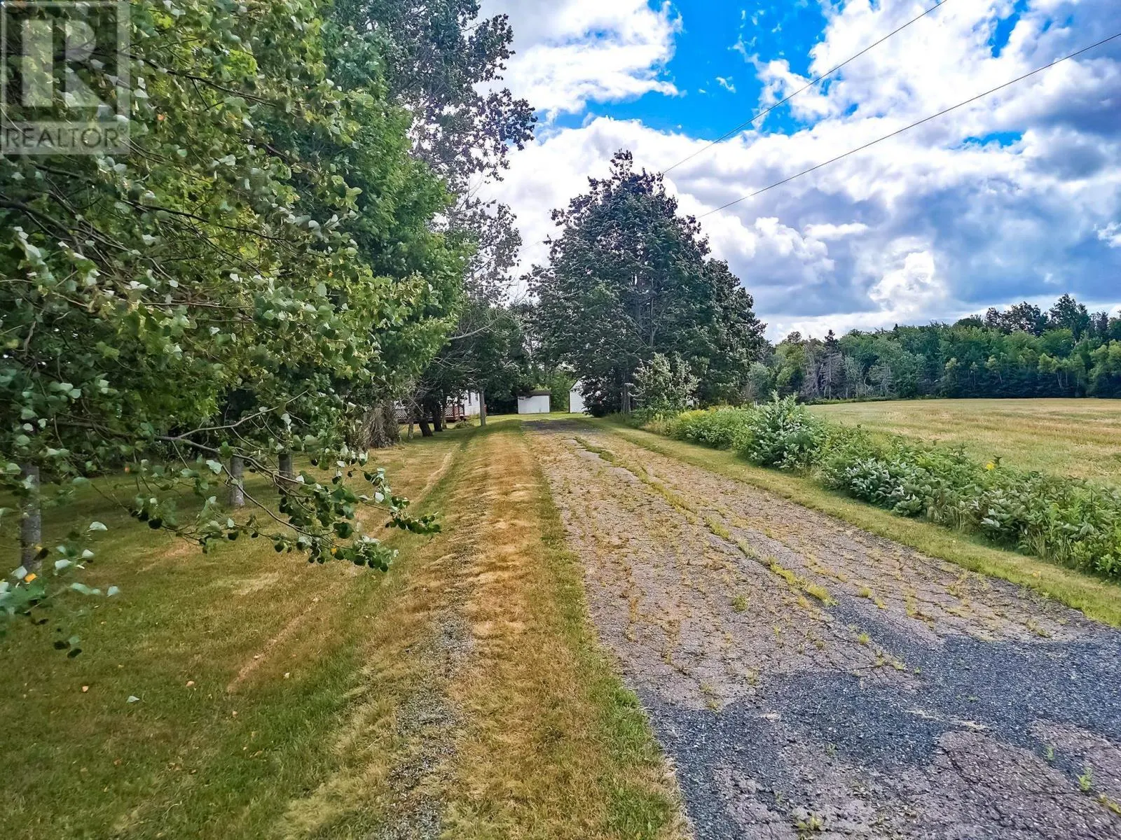 3351 Seven Mile Road