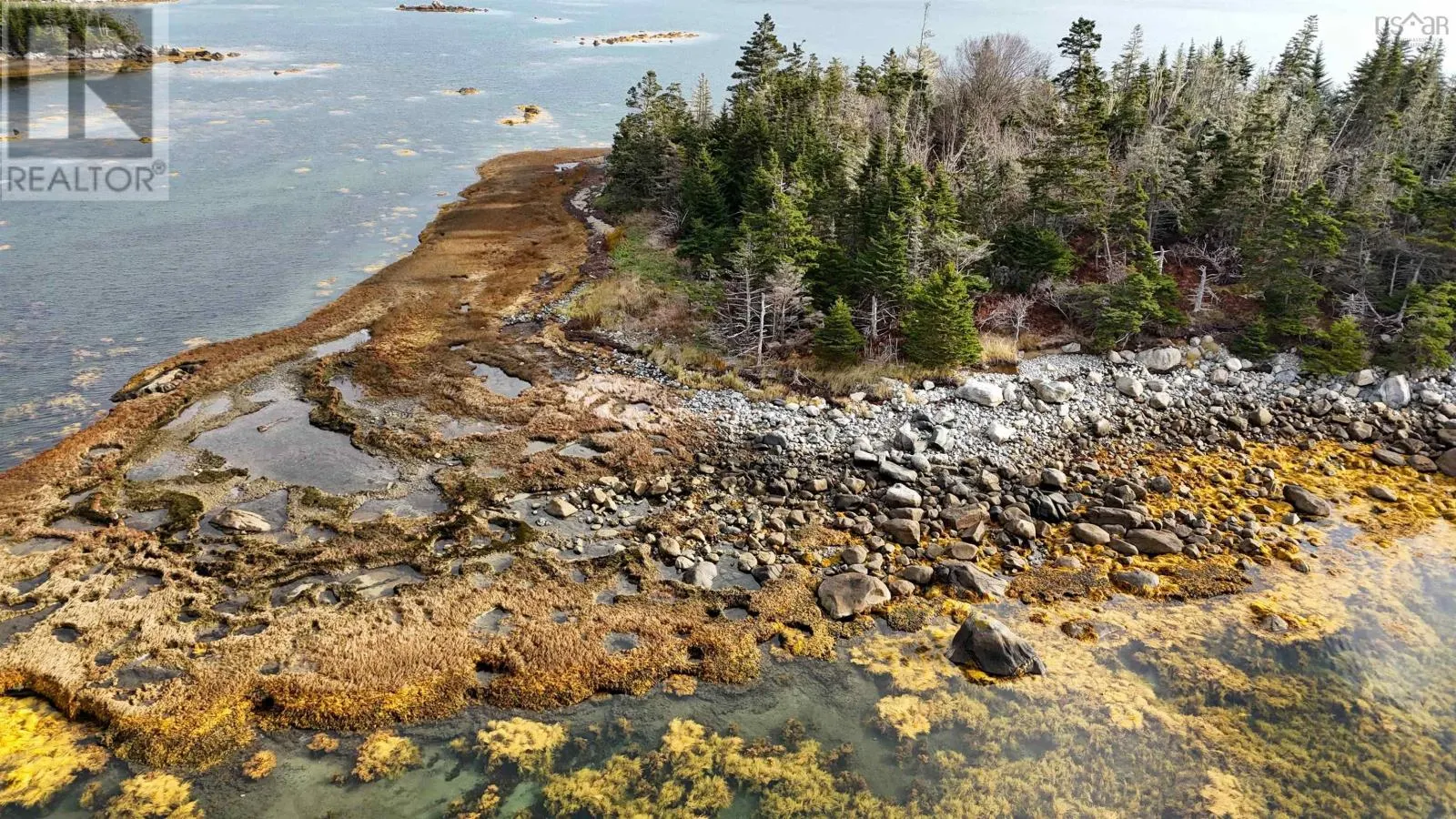 Little Militia Island