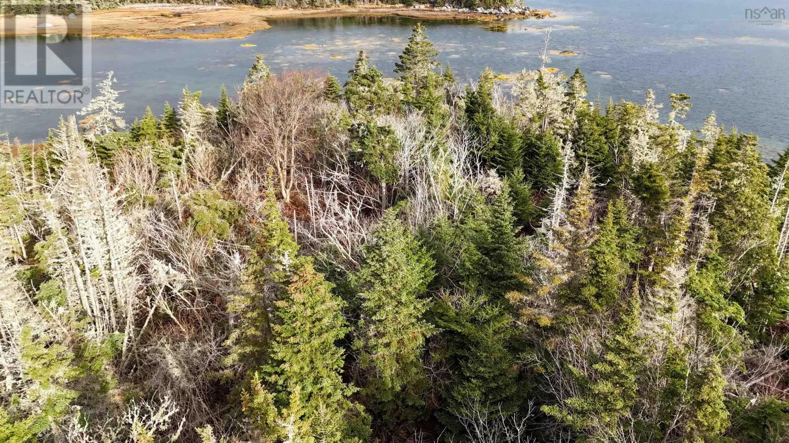 Little Militia Island