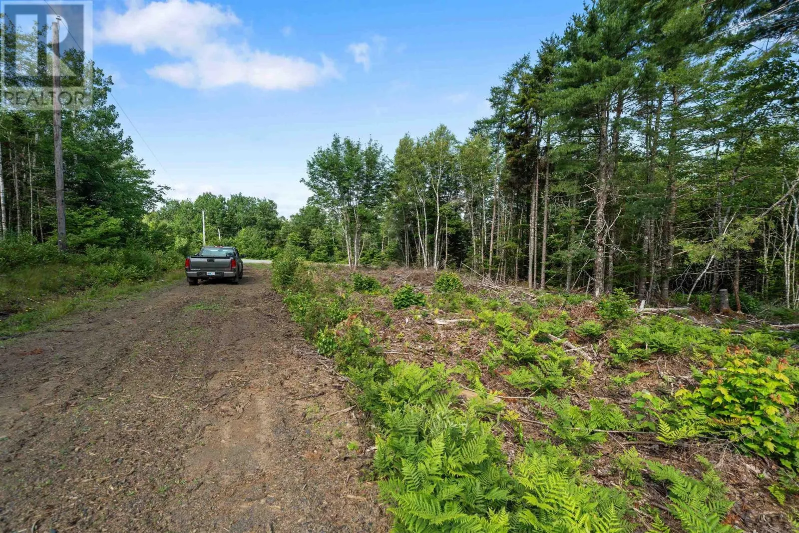 8860 Moose River Road