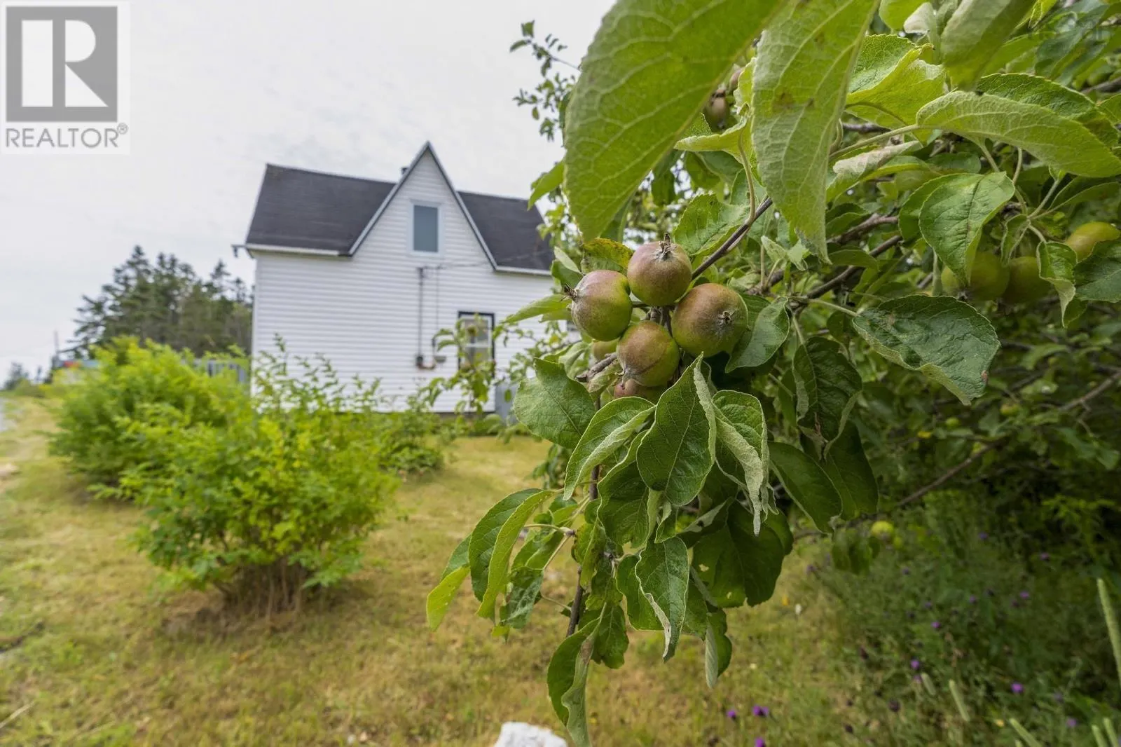 140 Hartling Road