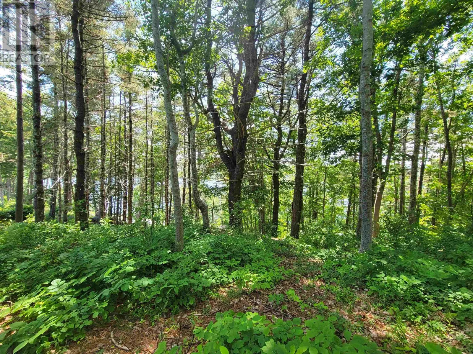 Lot 7 Wilkie Cove Road