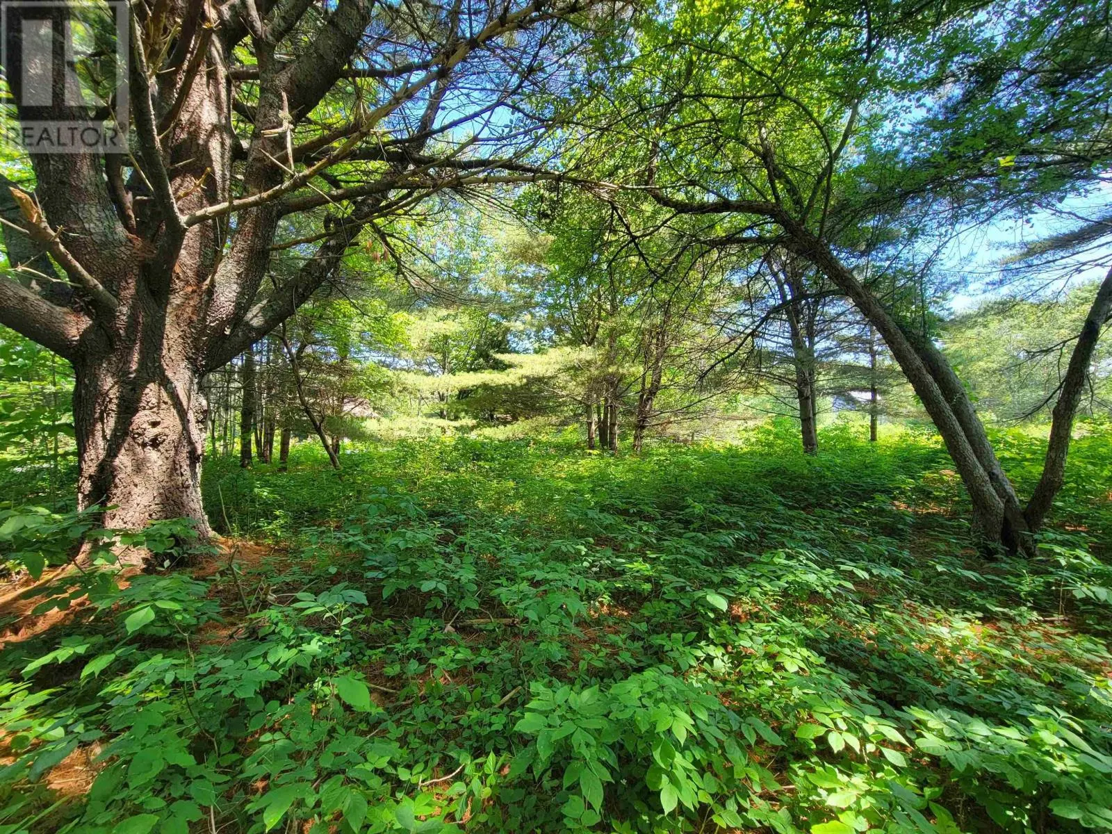 Lot 7 Wilkie Cove Road