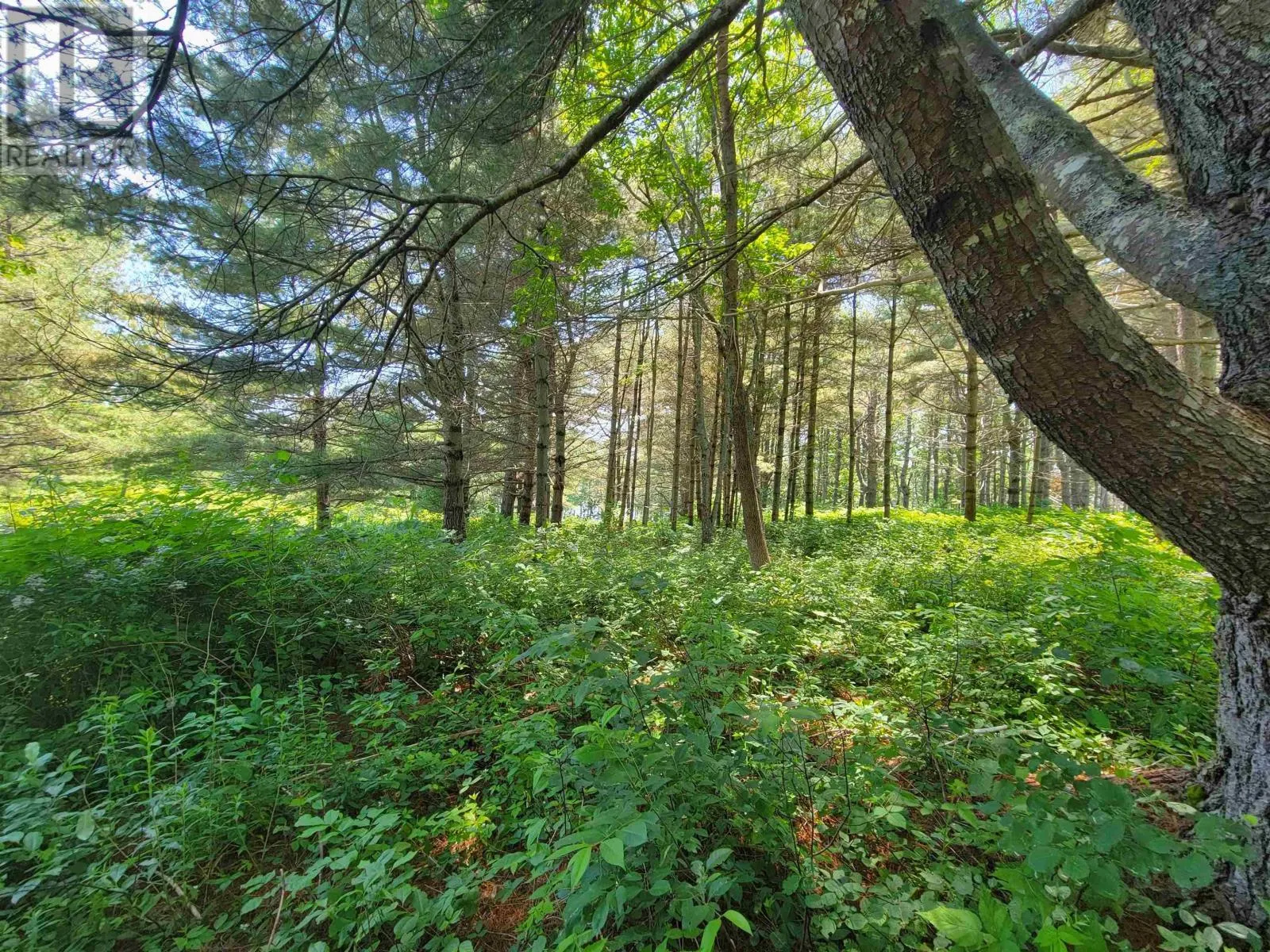 Lot 7 Wilkie Cove Road