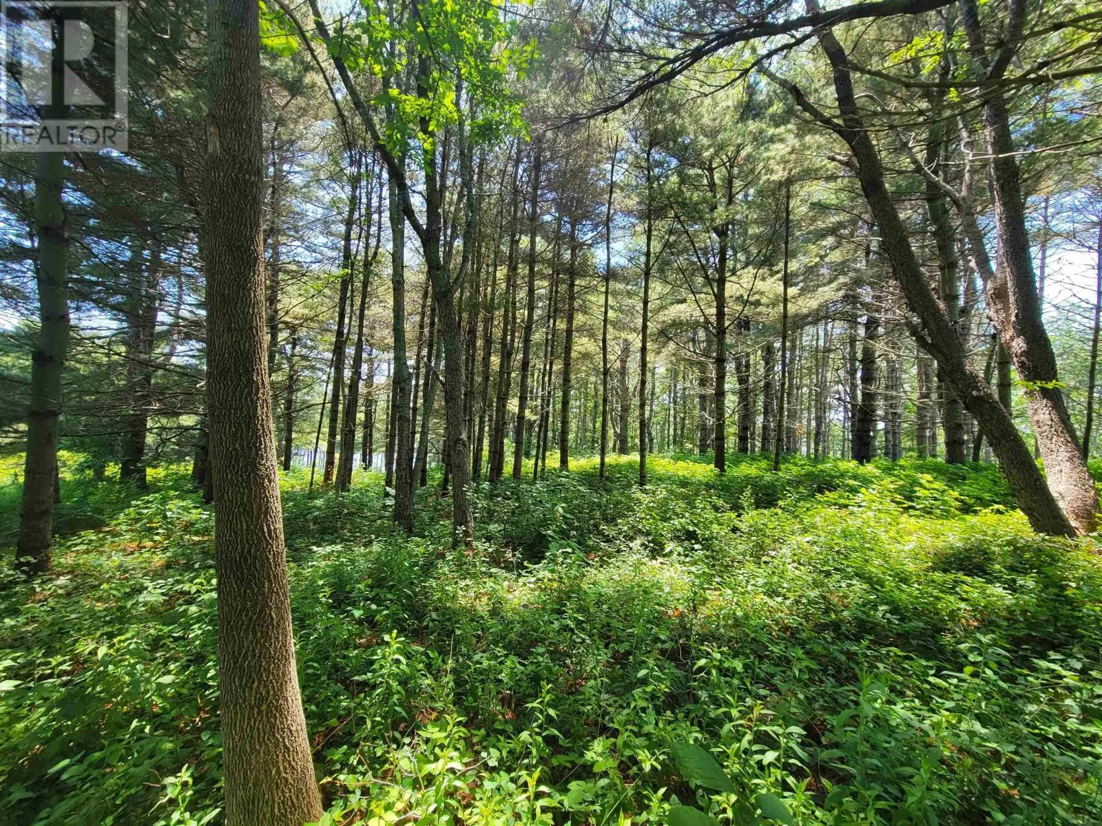 Lot 7 Wilkie Cove Road