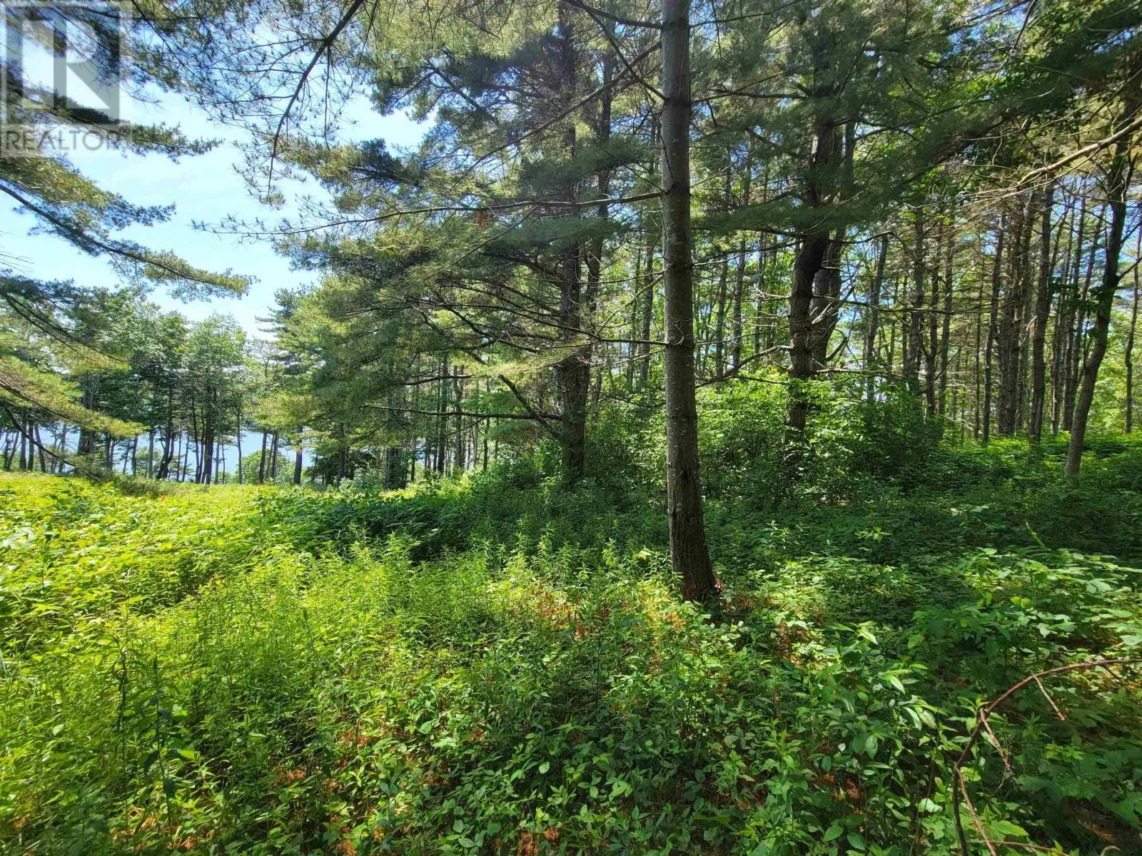 Lot 7 Wilkie Cove Road