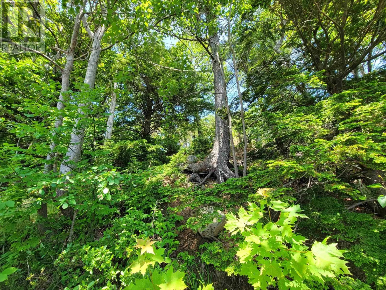 Lot 7 Wilkie Cove Road