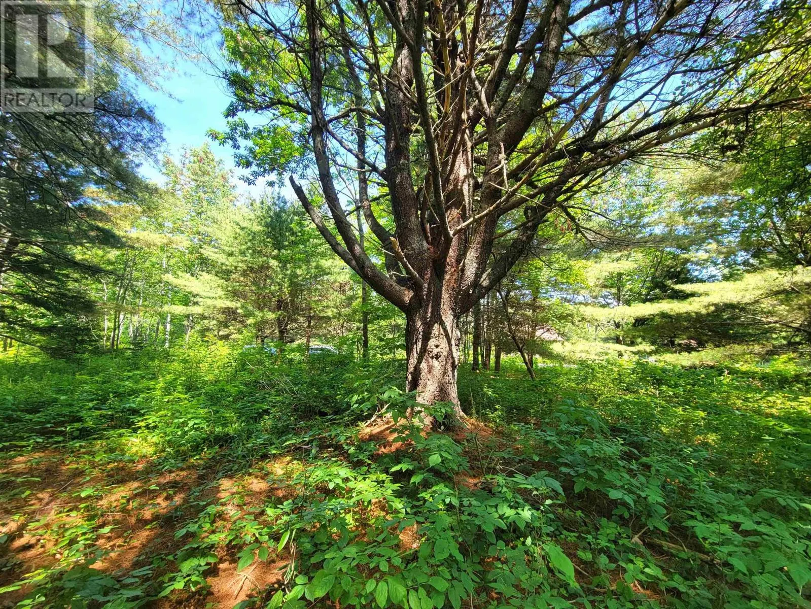 Lot 7 Wilkie Cove Road