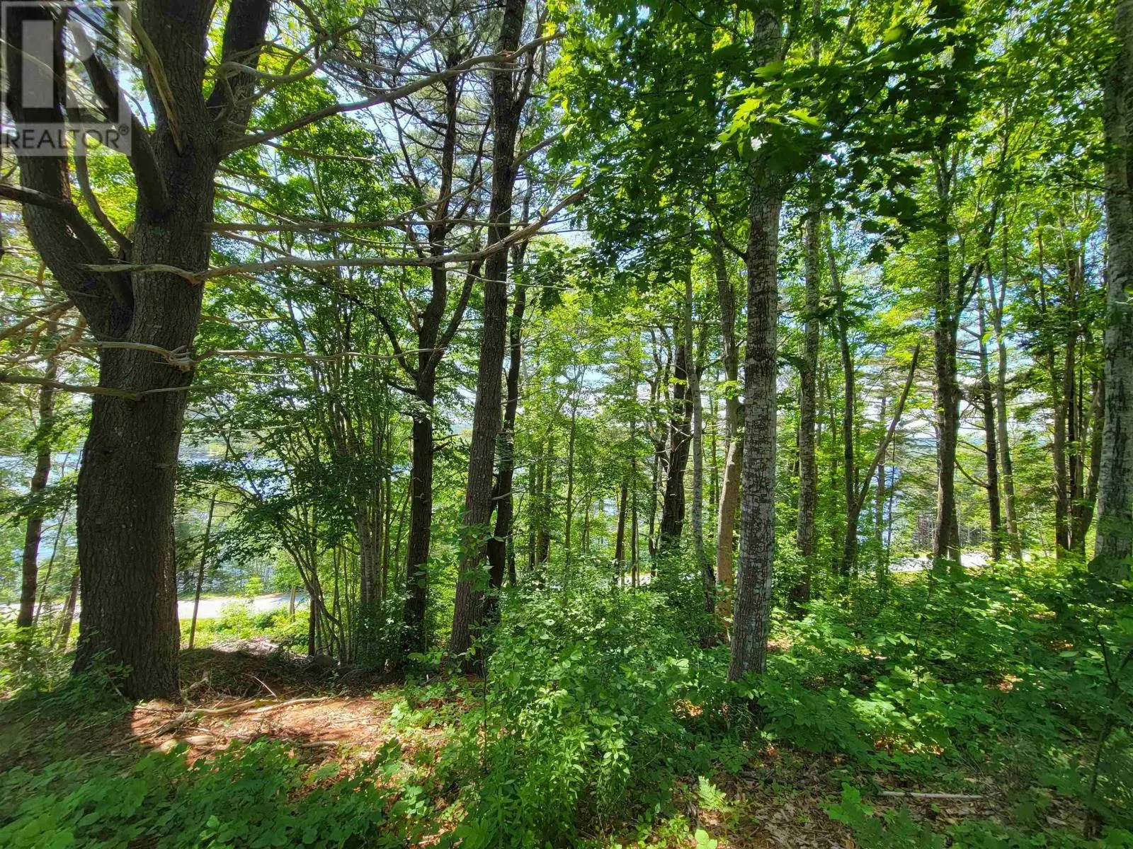 Lot 7 Wilkie Cove Road