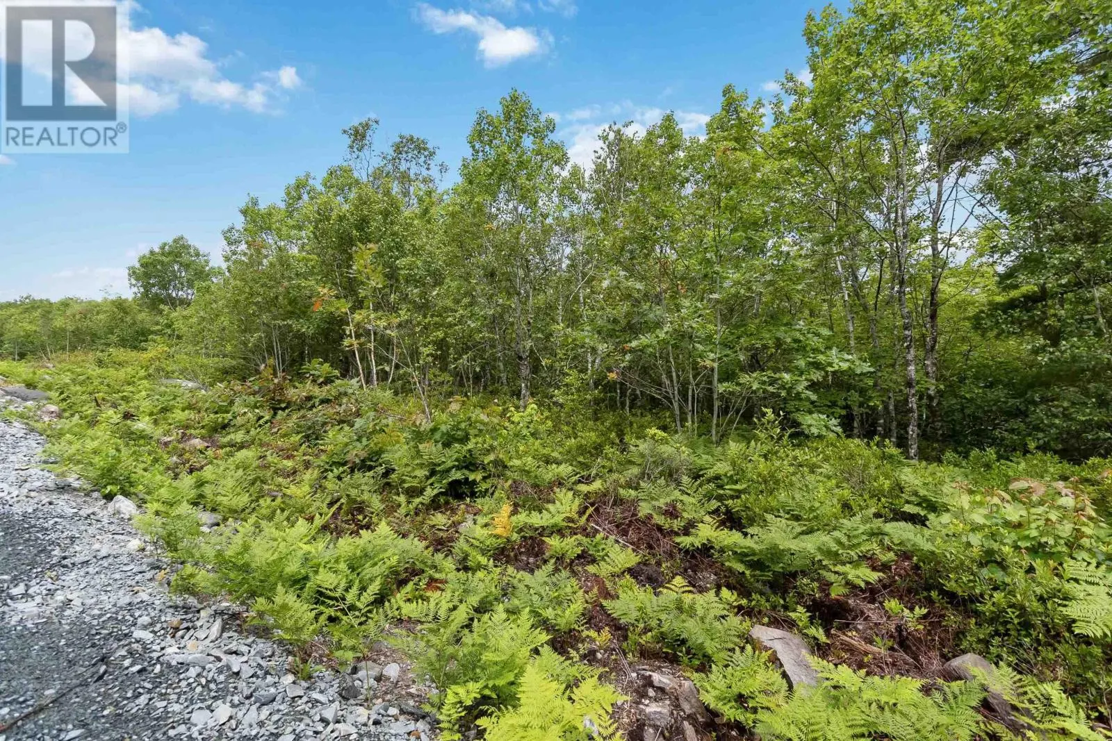 Lot 6 Maple Ridge Drive