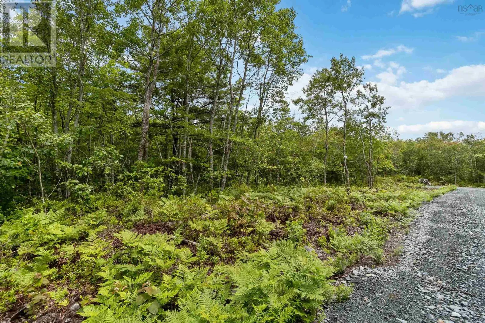 Lot 6 Maple Ridge Drive