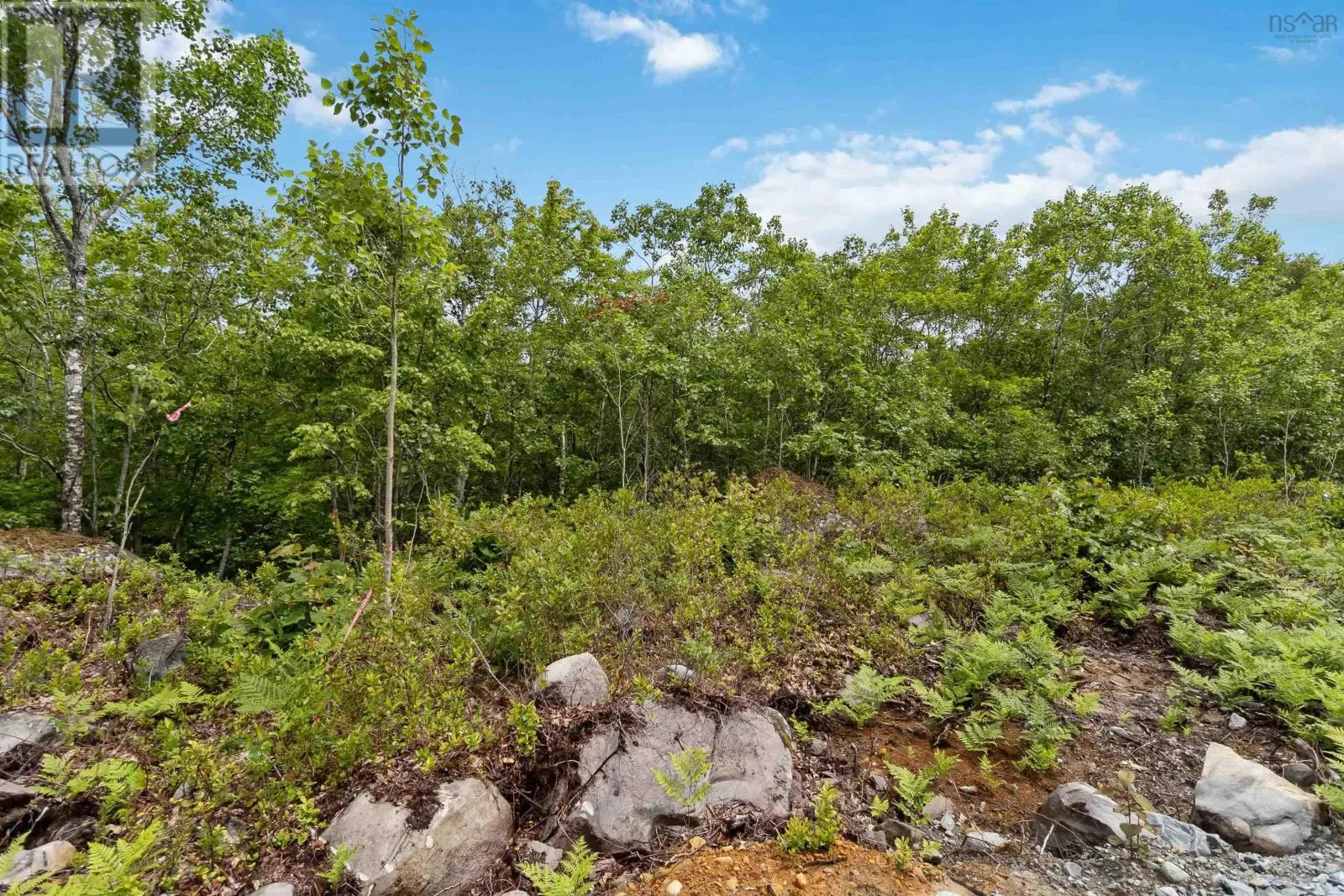 Lot 6 Maple Ridge Drive