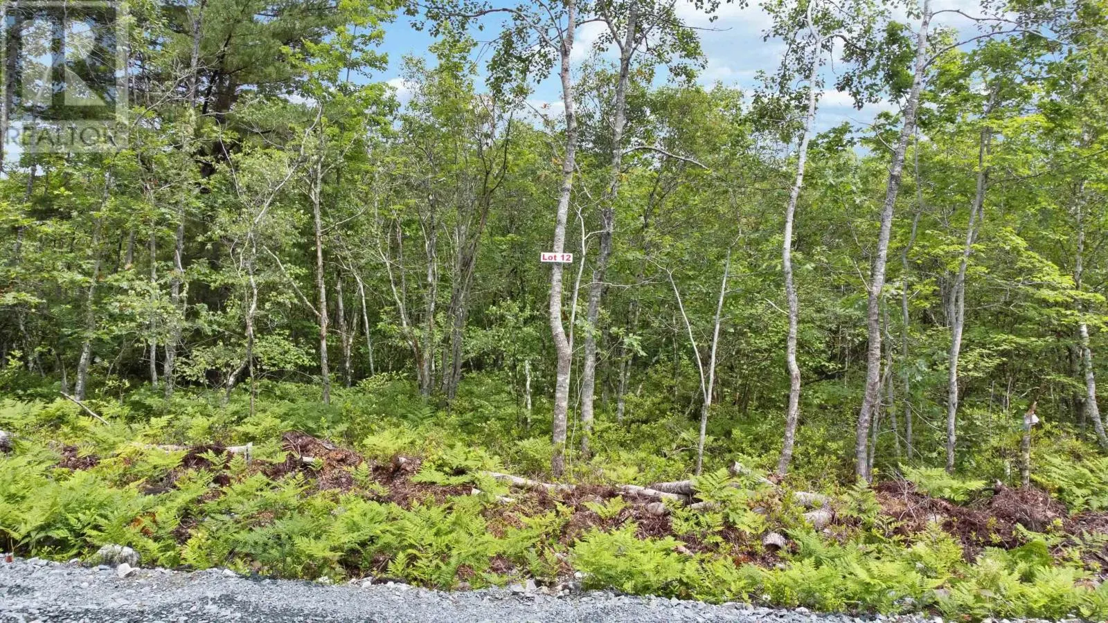 Lot 12 Maple Ridge Drive
