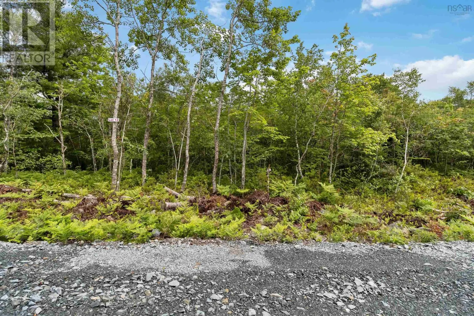Lot 12 Maple Ridge Drive