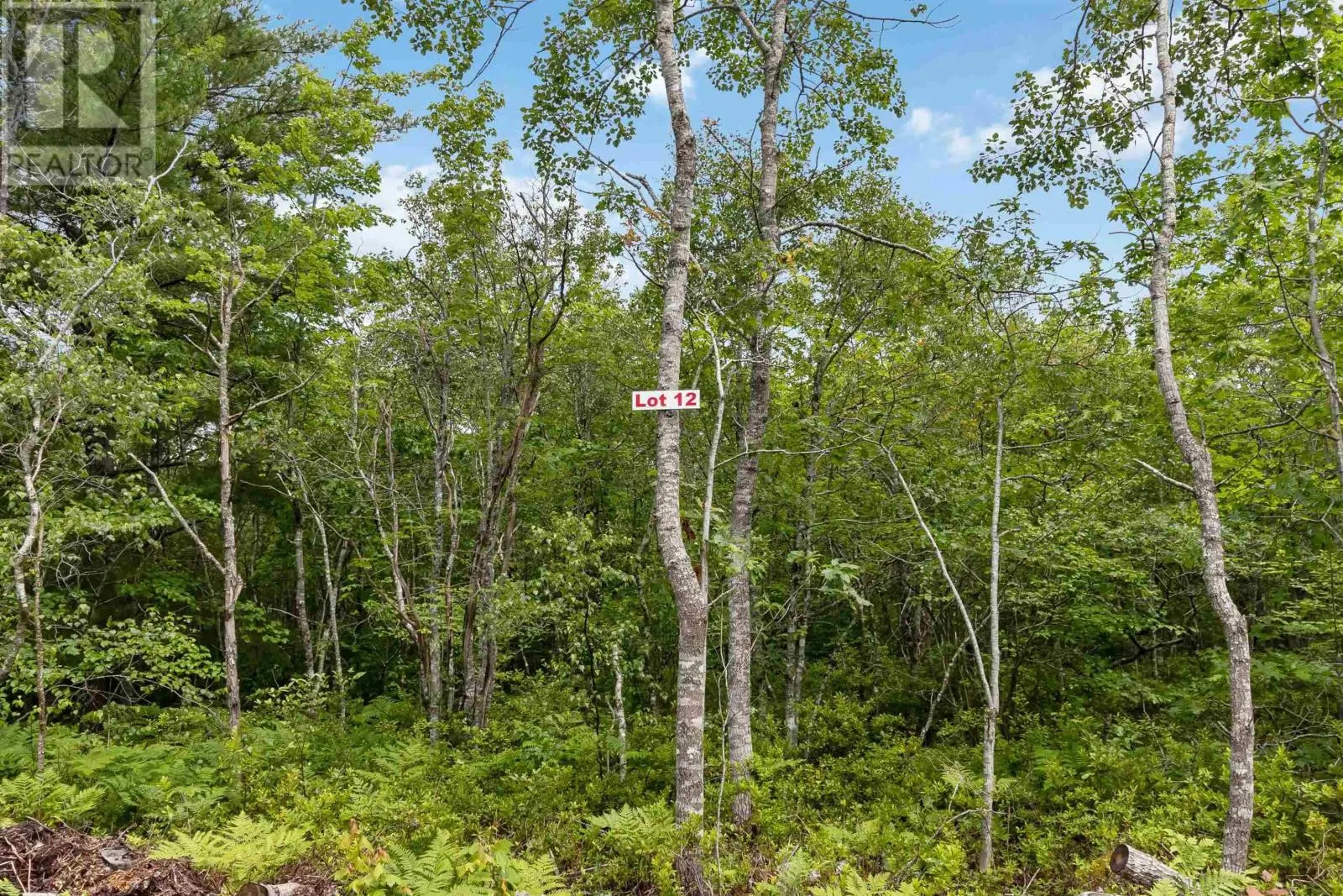 Lot 12 Maple Ridge Drive