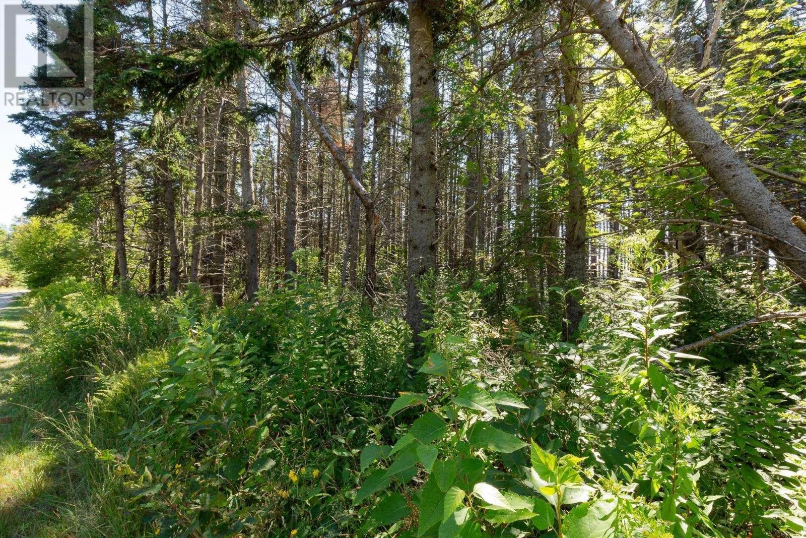 Lot 2 Ballfield Road