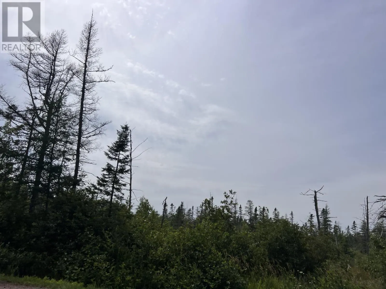 Rte 12 Tyne Valley