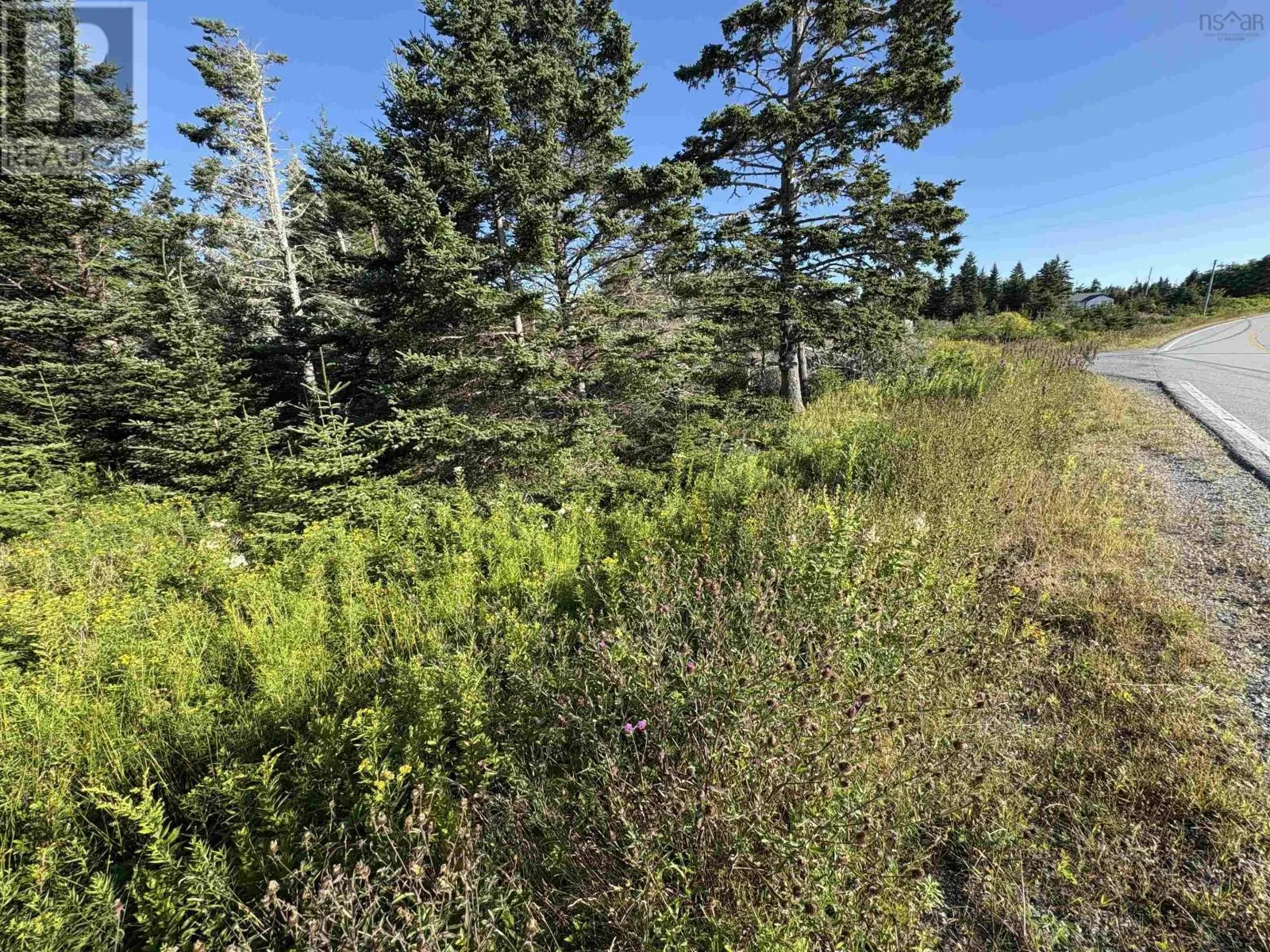 Lot 94 Shiers Road