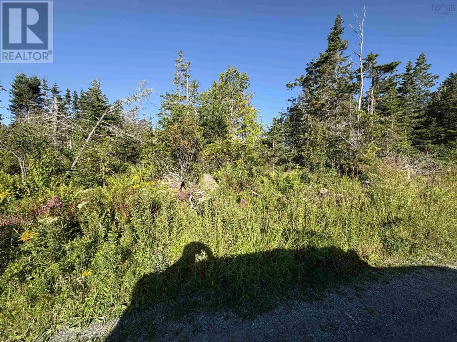Lot 94 Shiers Road