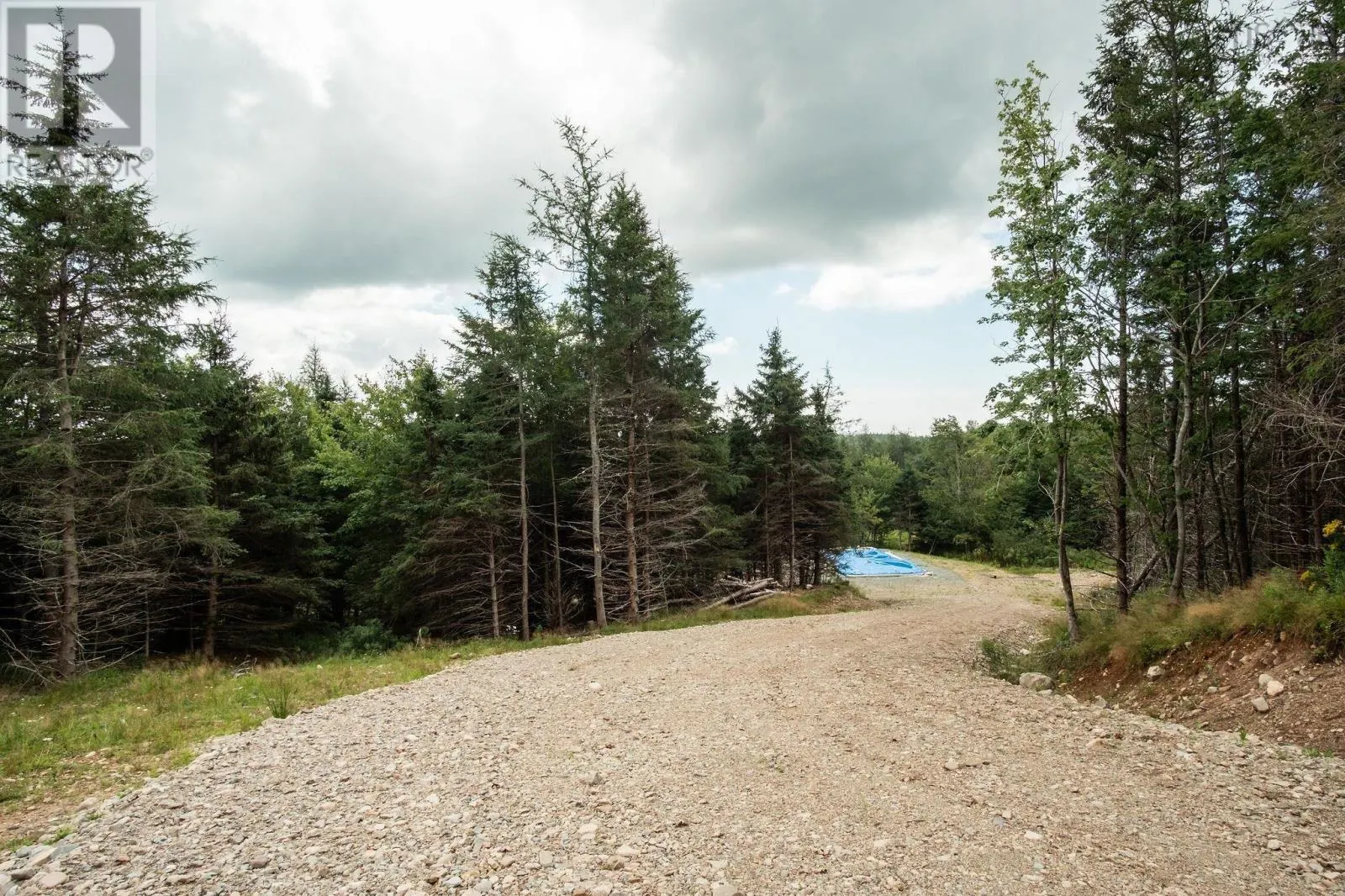 2664 Morrison Rd.