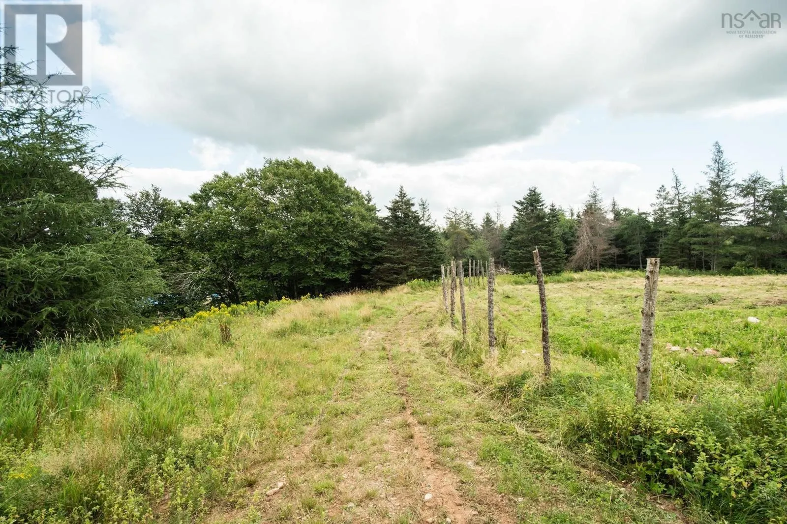 2664 Morrison Rd.