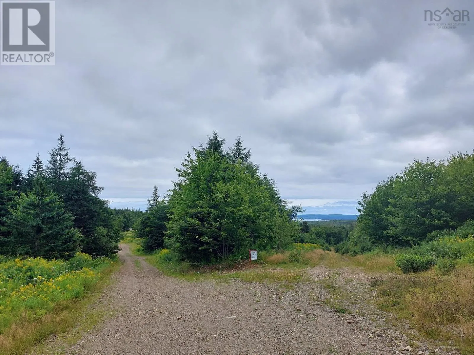 2664 Morrison Rd.